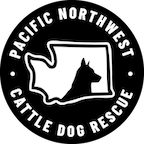 Pacific Northwest Cattle Dog Rescue