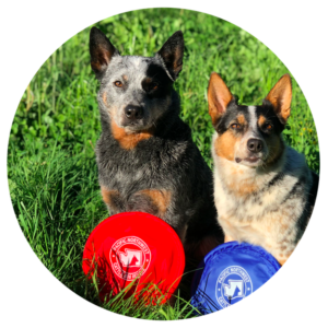 Nylon Frisbees