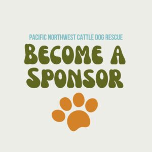 Become a Sponsor