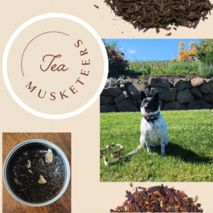 Tea Musketeers – Badger Brew Tea