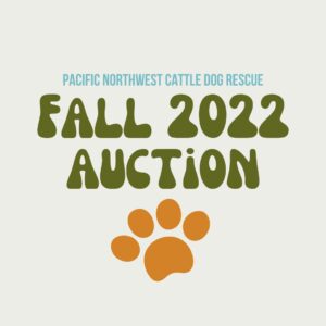 2022 Fall Auction