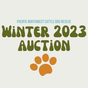 2023 Winter Auction