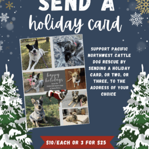 Festive Holiday Card